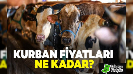 2019 KURBANLIK FYATLARI NETLET