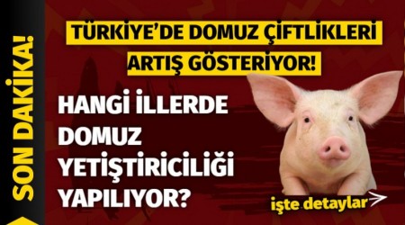 Hangi llerde Domuz Yetitiricilii Yaplyor?