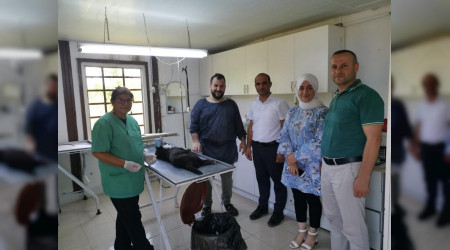 Karasu Belediyesi Veterinerlik Hizmetlerine Devam Ediyor