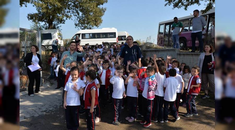 Barınak doldu taştı