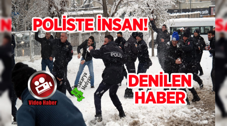 POLSLERN KARTOPU SAVAI
