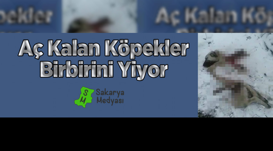 A KALAN KPEKLER BRBRN YED!