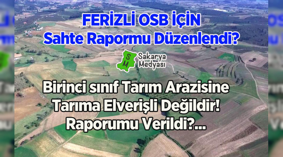 BLGE HALKI MJDEL OSB'Y STENMYOR