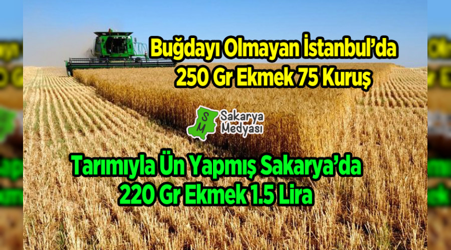 İSTANBUL'DA OLDUĞU GİBİ SAKARYA'DA DA EKMEK UCUZ OLSUN...