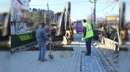 Arifiye Belediyesi Parke Bakım - Onarım Çalışmalarına Devam Ediyor.