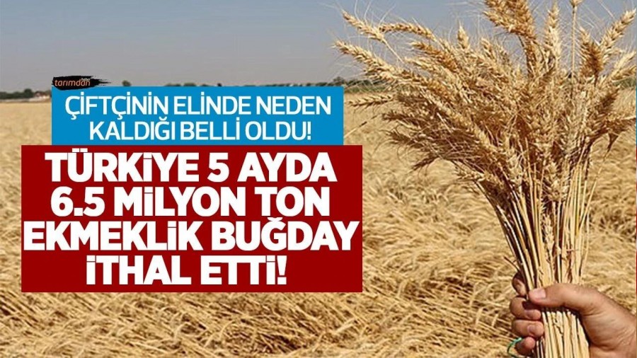 FTNN RN NEDEN ELNDE KALIYOR? UN CEVABI BU HABERDE