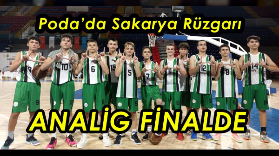 SAKARYA ANALG FNALDE