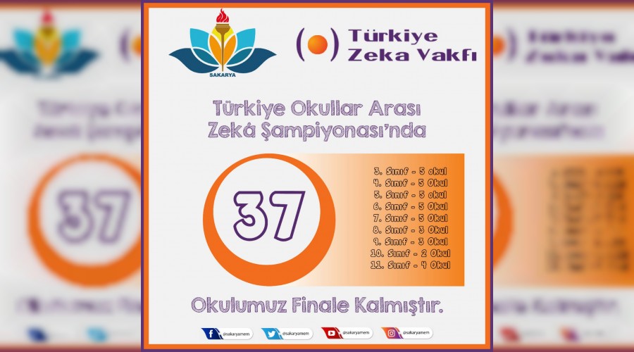 Türkiye Zekâ Oyunları Şampiyonası'nda 37 Okulumuz Finale Kaldı.