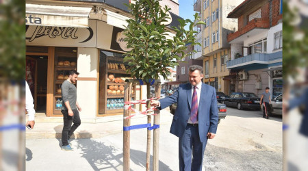 Yeil Bir Karasu in Aalandrma almalarmz Devam Ediyor