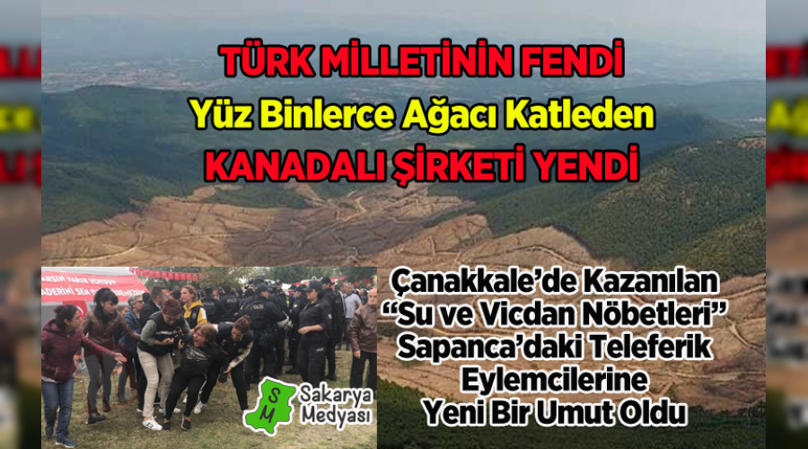 Yz binlerce aac katletmiti: Kanadal irket, projeyi iptal ederek blgeyi terk etti