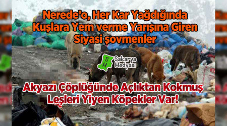 A KALAN KPEKLER KOKMU LELER YYOR!