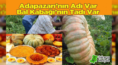 ADIYLA MEŞHUR TADIYLA MEŞHUR ADAPAZARI BAL KABAĞI