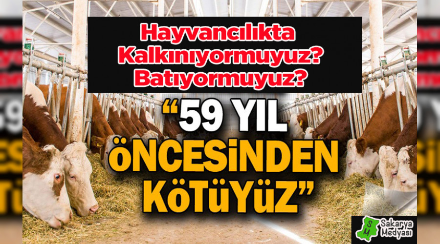 LKEMZ KURAK'MI? KIRA'MI? K MLYARLARCA DOLARLIK ET THAL EDYORUZ...