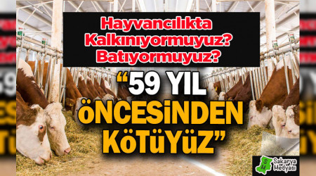 LKEMZ KURAK'MI? KIRA'MI? K MLYARLARCA DOLARLIK ET THAL EDYORUZ...