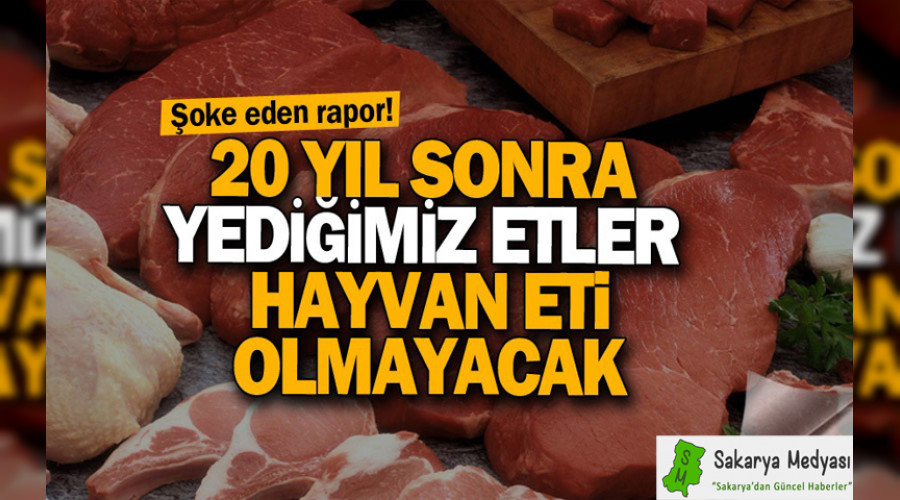 20 yl sonra yediimiz etler hayvan eti olmayacak