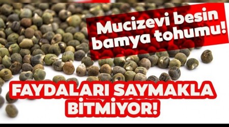 BAMYA'NIN FAYDALARI SAYMAKLA BTMYOR!..
