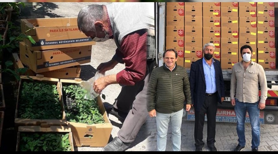 CHP BTP DEN KOPYALAMAYA DEVAM EDYOR