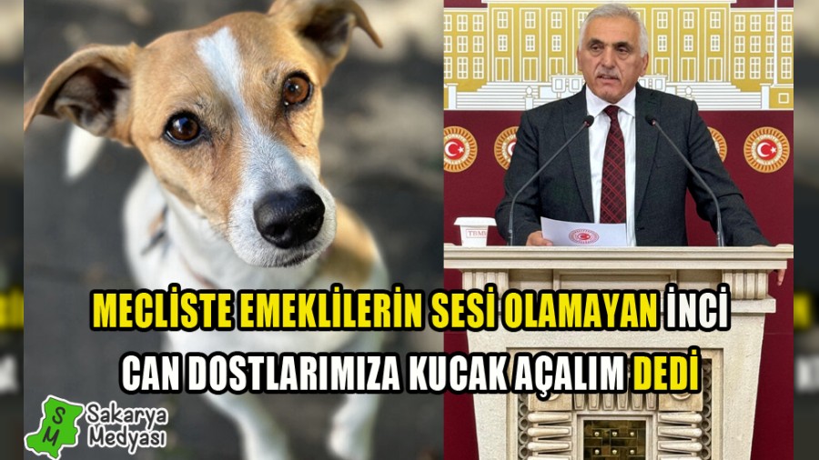 NC: ONLARA KUCAK AALIM