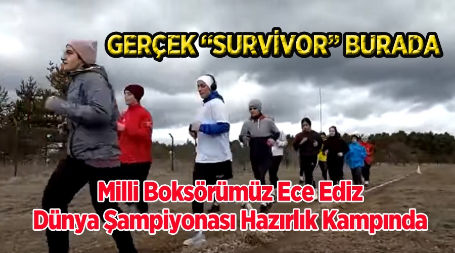 MLL BOKSRMZ ECE EDZ FAVOR SMLER ARASINDA 