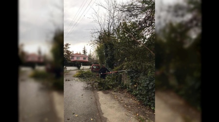 Sapanca'da Genel Temizlik