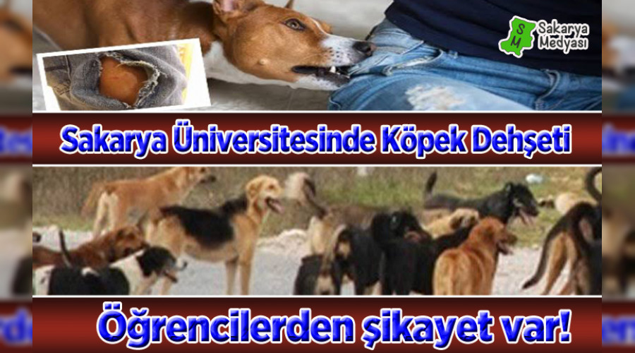 SA'DE BAIBO KPEKLER DEHET SAIYOR!..