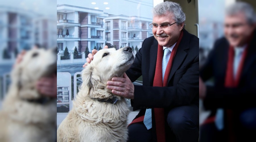 Bu tesis yaknda sokaktaki dostlarmzn yuvas olacak