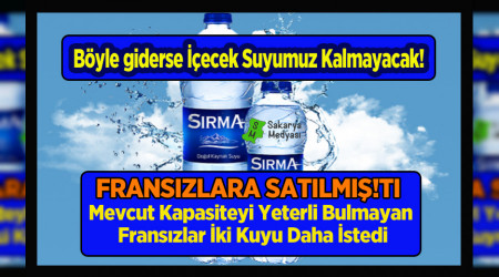 FRANSIZ DANONE K KUYU DAHA STED