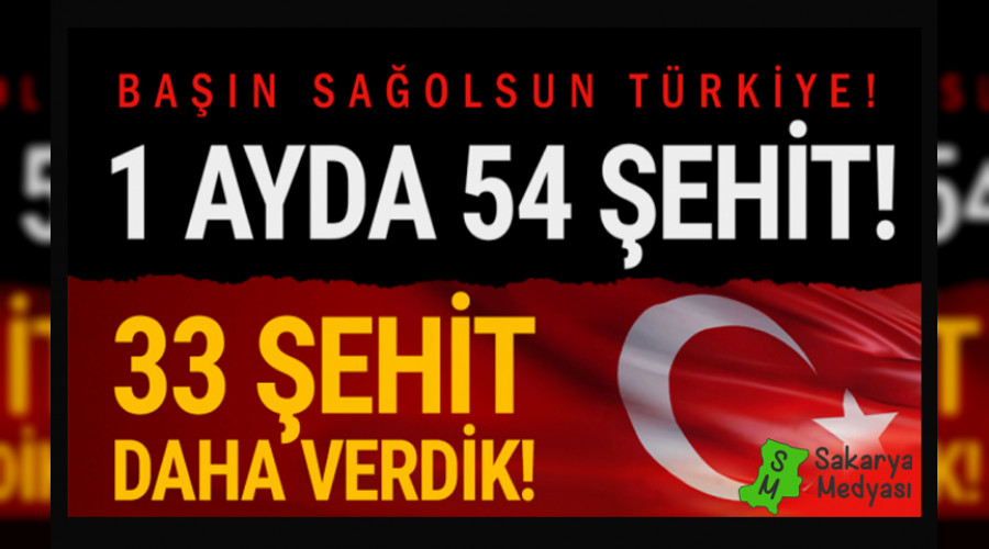 dlib'teki ehit saymz 33'e ykseldi!