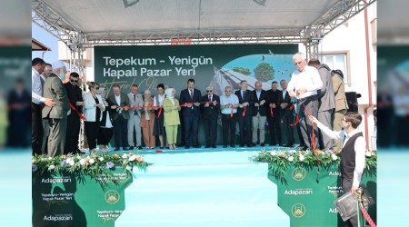 Tepekum-Yenignde Al Cokusu