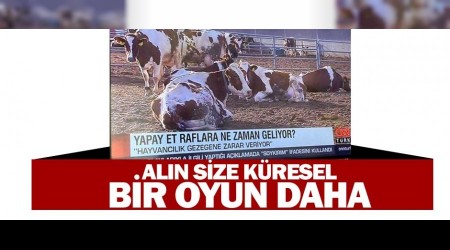 Aln size kresel bir oyun daha  