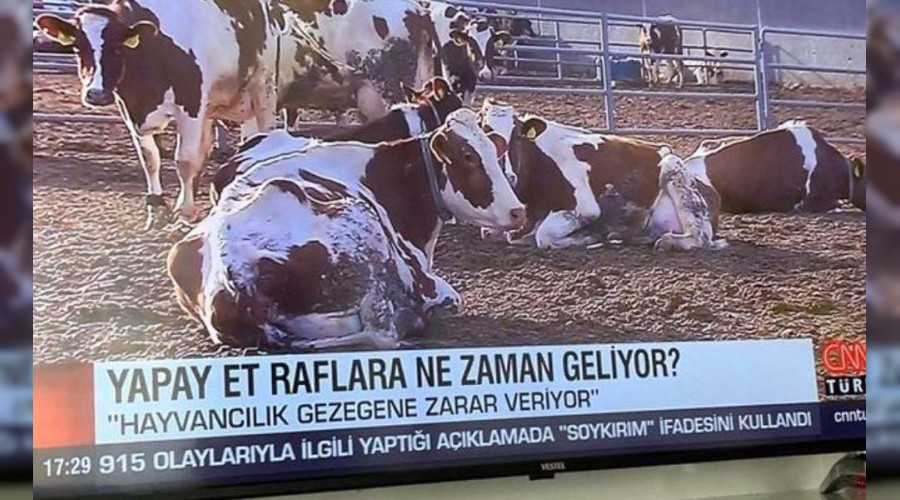 Aln size kresel bir oyun daha  