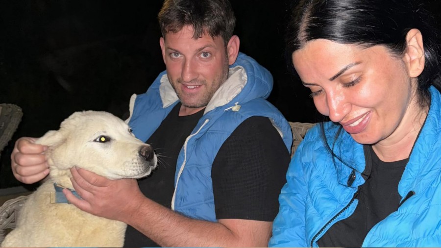 Aykut ve Melike Saban'dan sokak k�peklerine y�nelik �iddete tepki