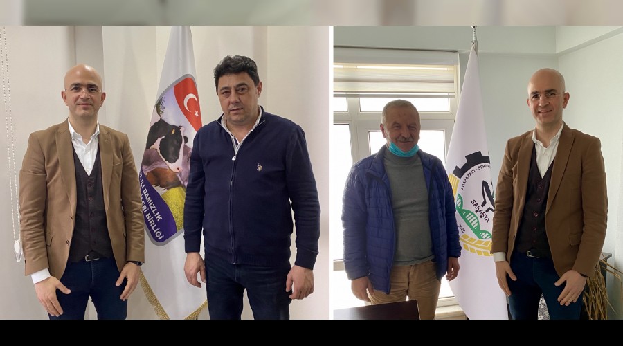FT NASIL KAZANIYOR?