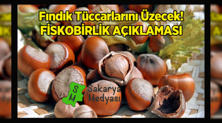 FSKOBRLK FINDIK ALIMINA BALADI