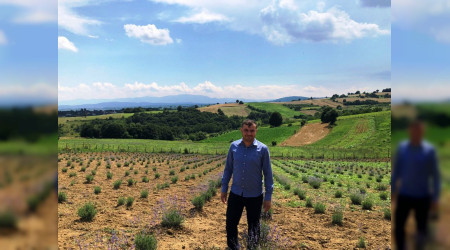Sakarya'da grlmemi giriim! Grenler hayran kalyor