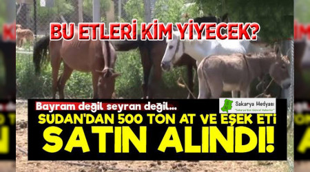 500 TON AT, EEK VE KATIR ET THAL EDLD DDASI...