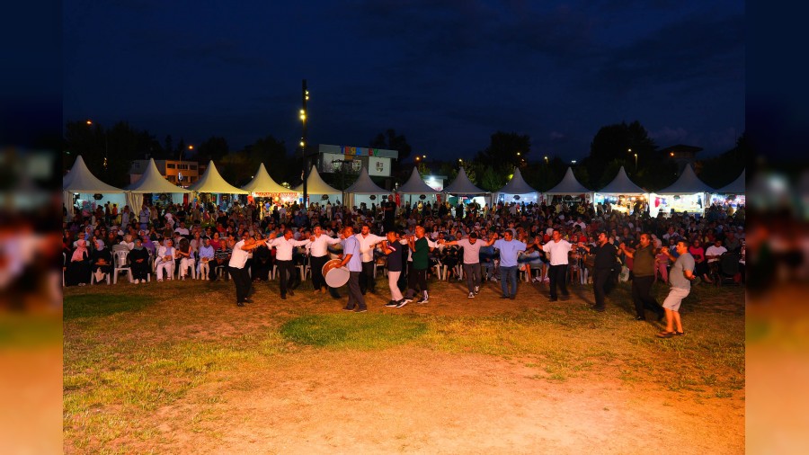 72 BUUK TEK VCUT 