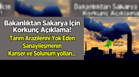 Bakanlk uyard: Sakarya'da kansere yol aan kirlilik...