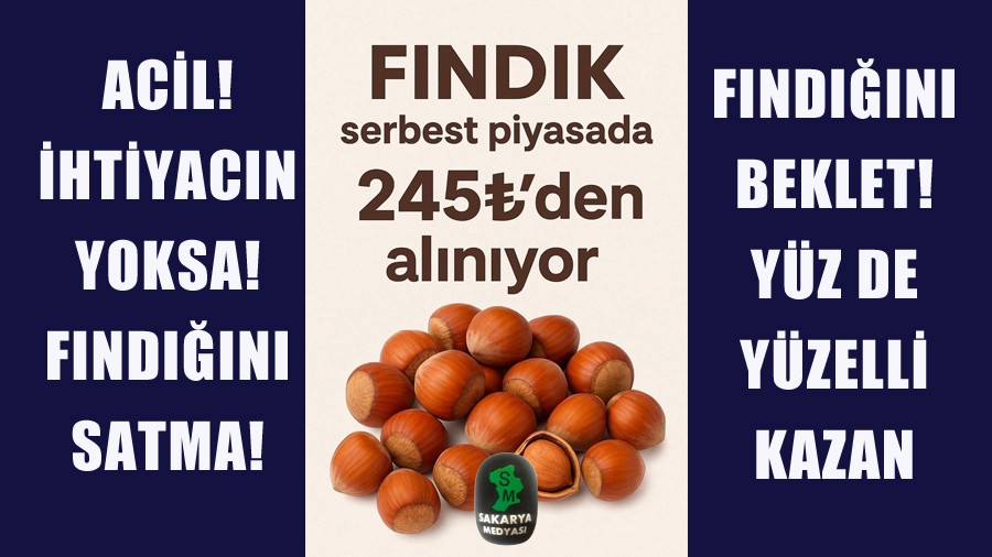 FINDIK SERPEST PYASADA 245-300 T YE ALICI BULUYOR