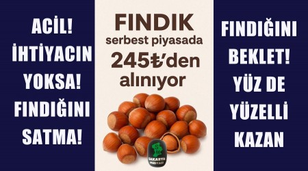 FINDIK SERPEST PYASADA 245-300 T YE ALICI BULUYOR