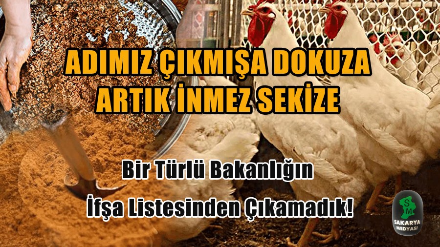 SA�LI�IMIZ TEHT�D ALTINDA!.. 