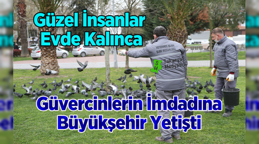 Şehir kuşlarına Büyükşehir desteği