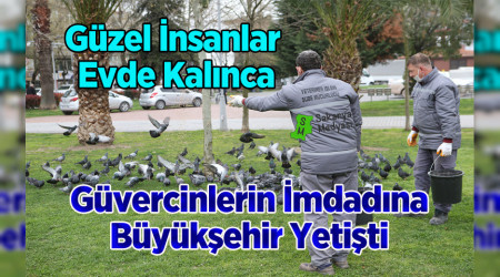Şehir kuşlarına Büyükşehir desteği