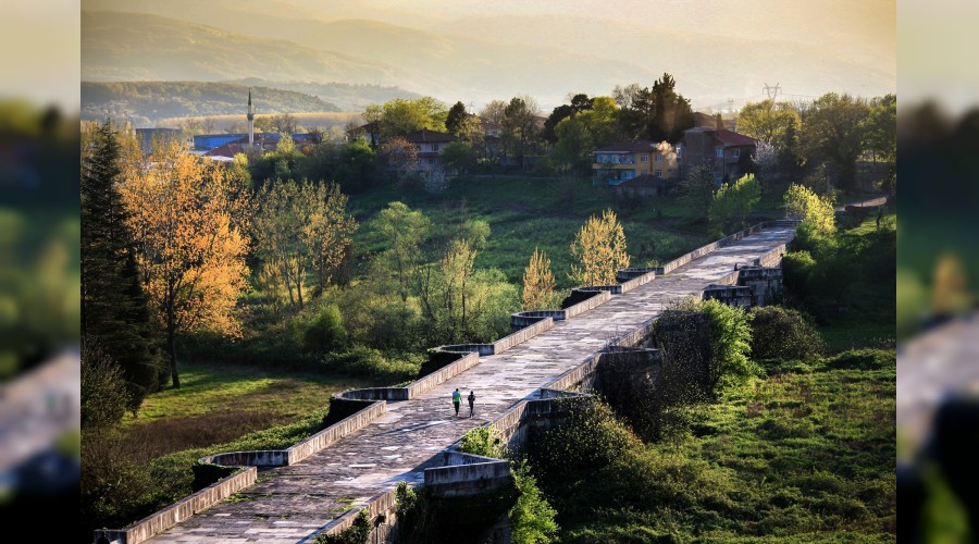 2 bin 209 fotoğraf, 510 sanatçı