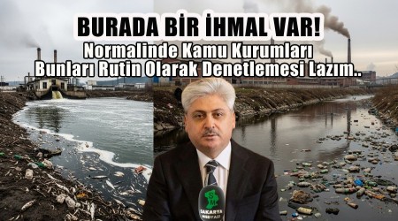 Akyaz'da evre Kirliliine Soruturma: Vali Doan'dan Sert Aklamalar