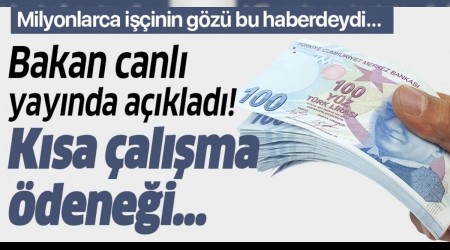 DEMELERN TARH BELL OLDU 