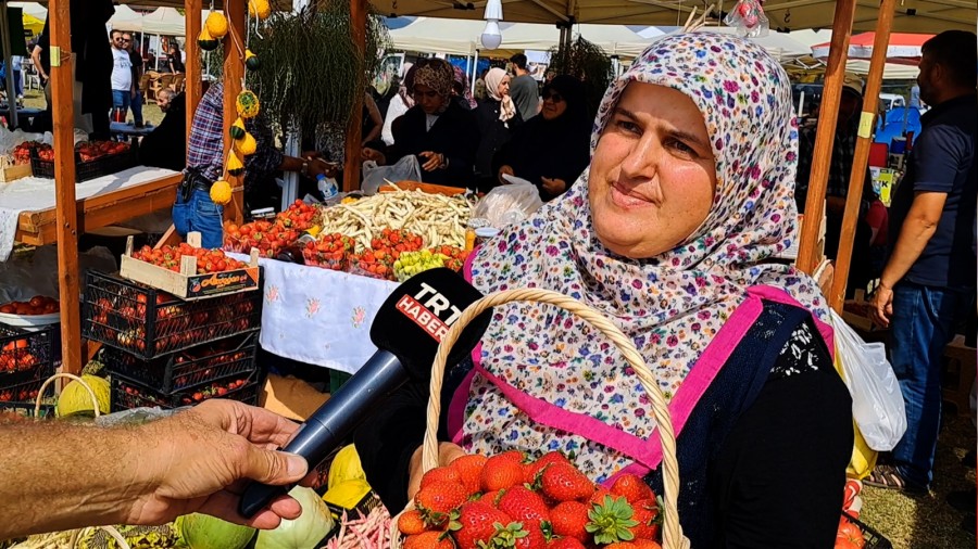 Sakarya’da Çilek Festivali düzenlendi