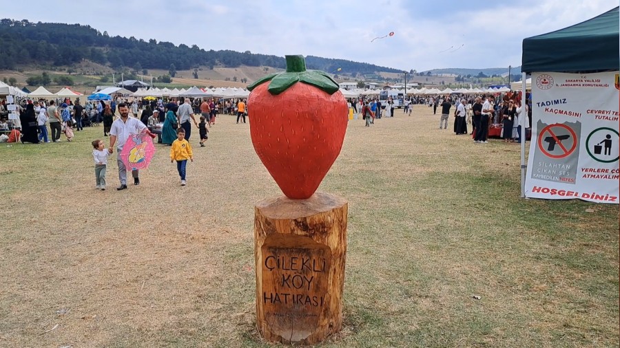 Sakarya’da Çilek Festivali düzenlendi