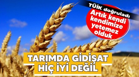 Tarmda gidiat hi iyi deil