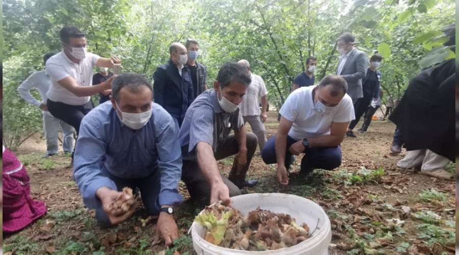 HALKIN VALS HALKIYLA BRLKTE